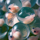 Image: TIm Flach